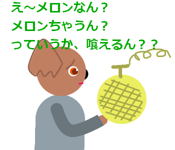 ニセメロンとコアラ