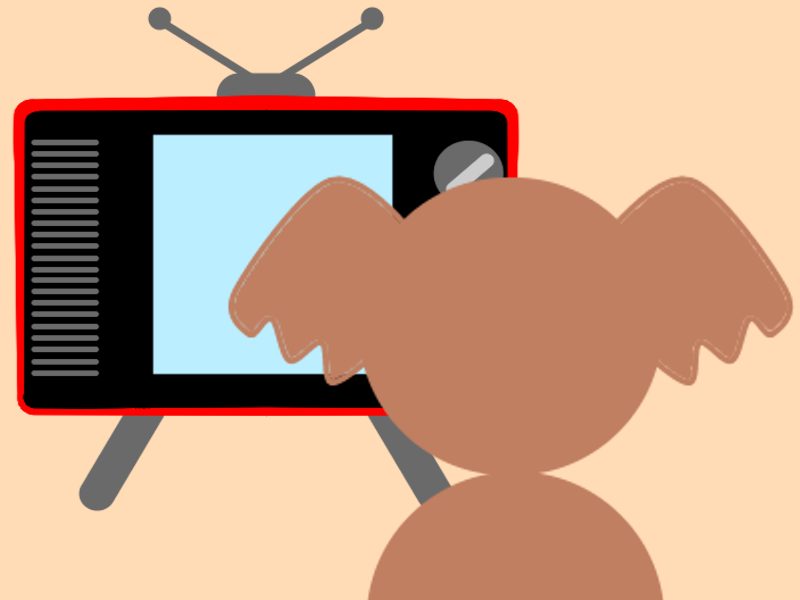 テレビを見るコアラ
