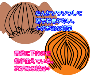 襟足図解