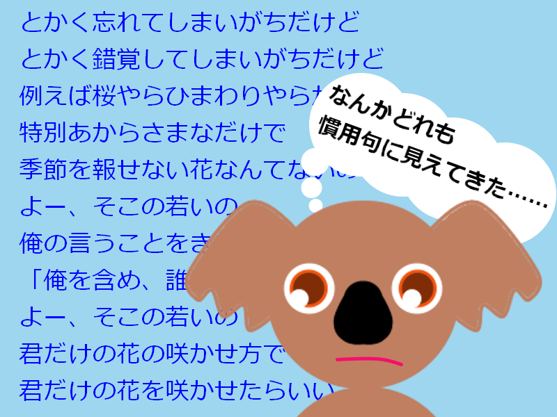 血迷うコアラ